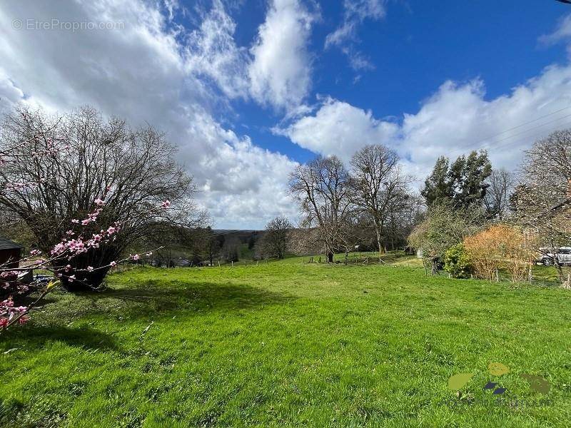 Terrain à LA CROISILLE-SUR-BRIANCE