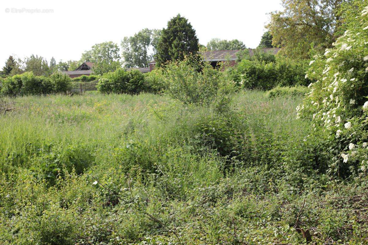 Terrain à BERNEUIL-EN-BRAY