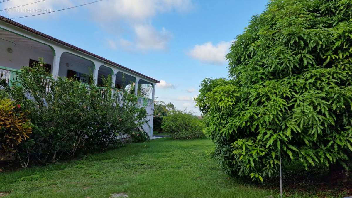 Maison à LAMENTIN