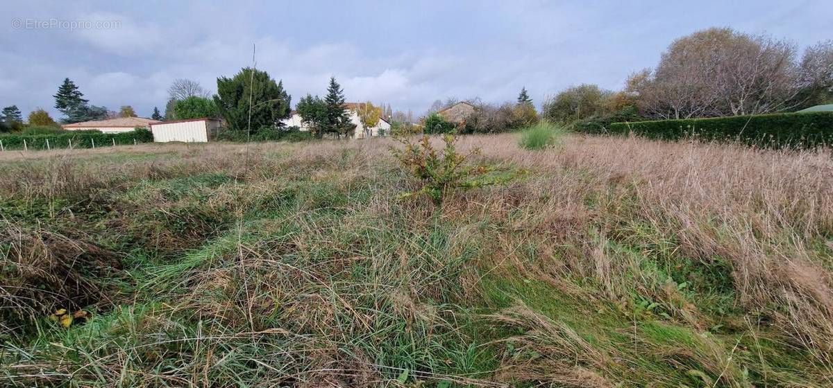 Terrain à SAINT-LEON-SUR-L&#039;ISLE