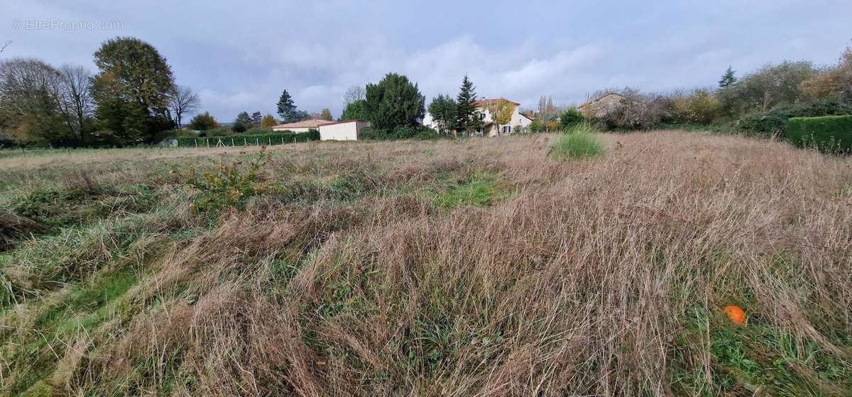 Terrain à SAINT-LEON-SUR-L&#039;ISLE