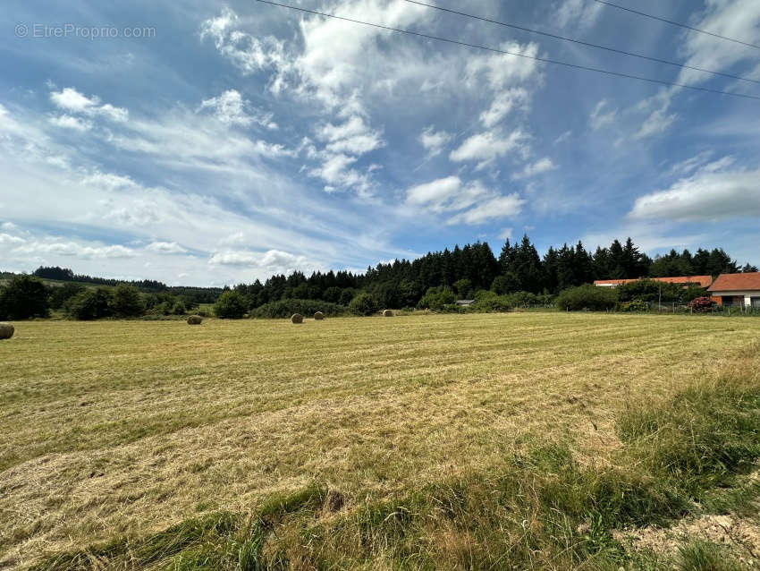 Terrain à BLOT-L&#039;EGLISE