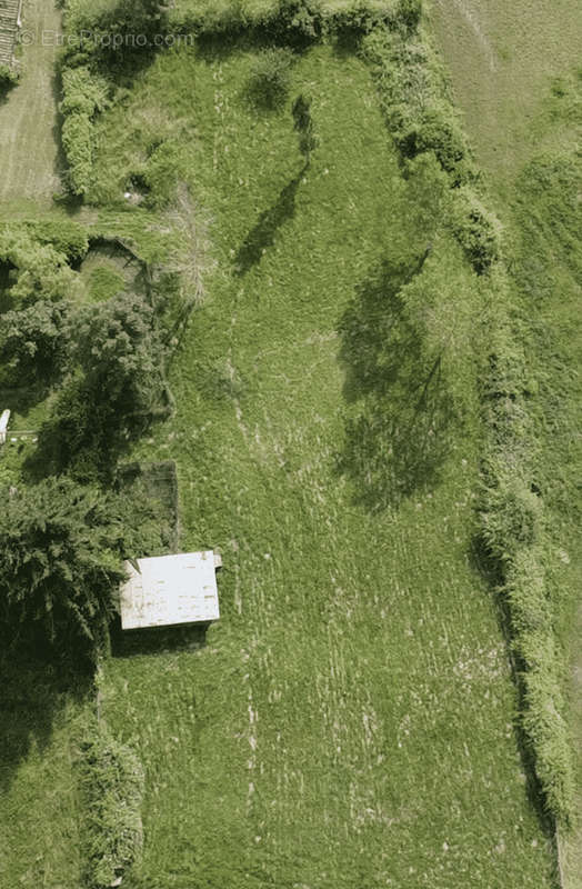 Terrain à PIERRE-DE-BRESSE