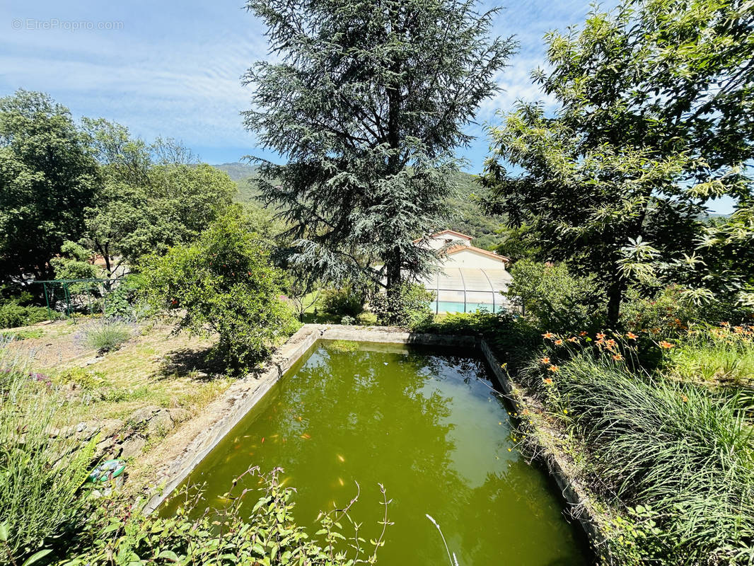 Maison à ARLES-SUR-TECH