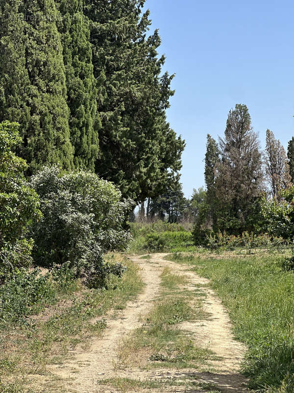 Terrain à MILLAS