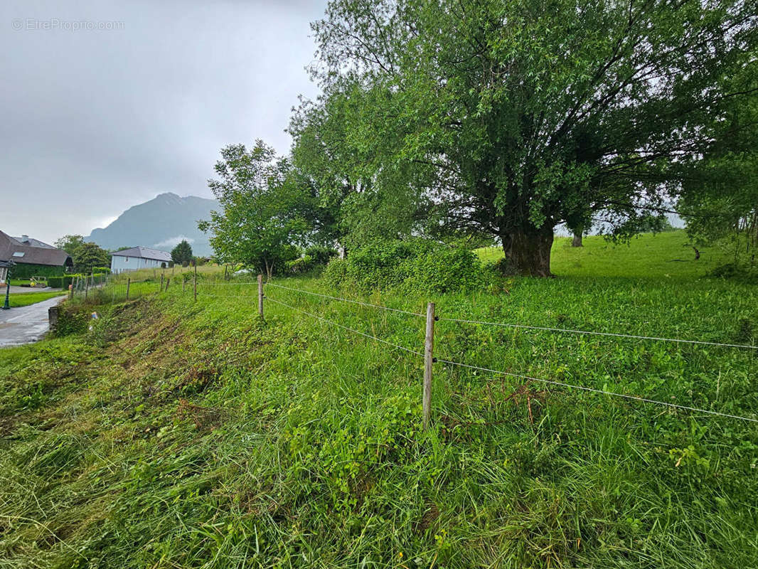 Terrain à TOURNON