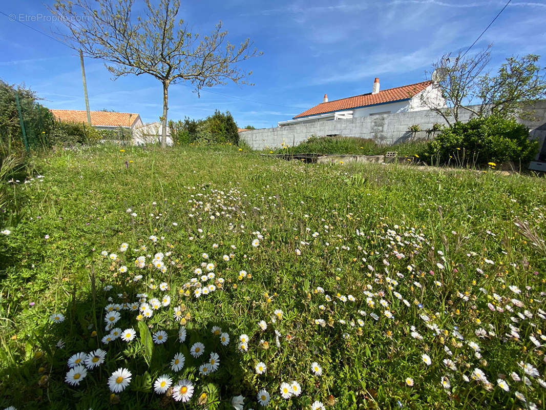 Terrain à BRETIGNOLLES-SUR-MER