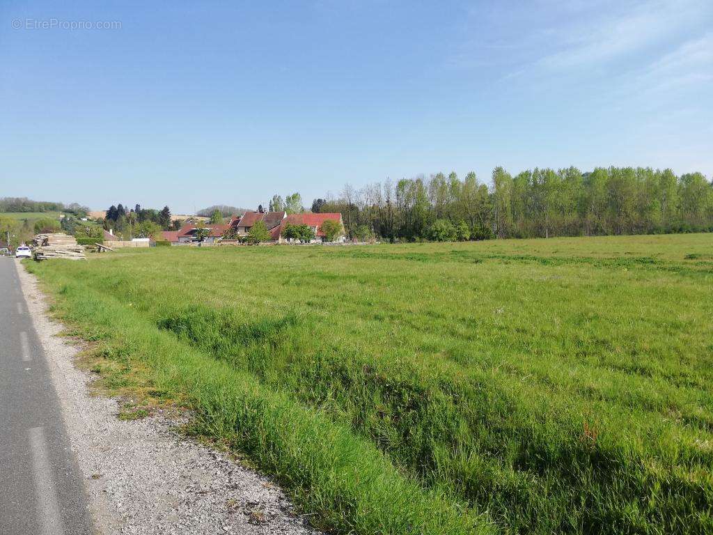 Terrain à MESSIA-SUR-SORNE