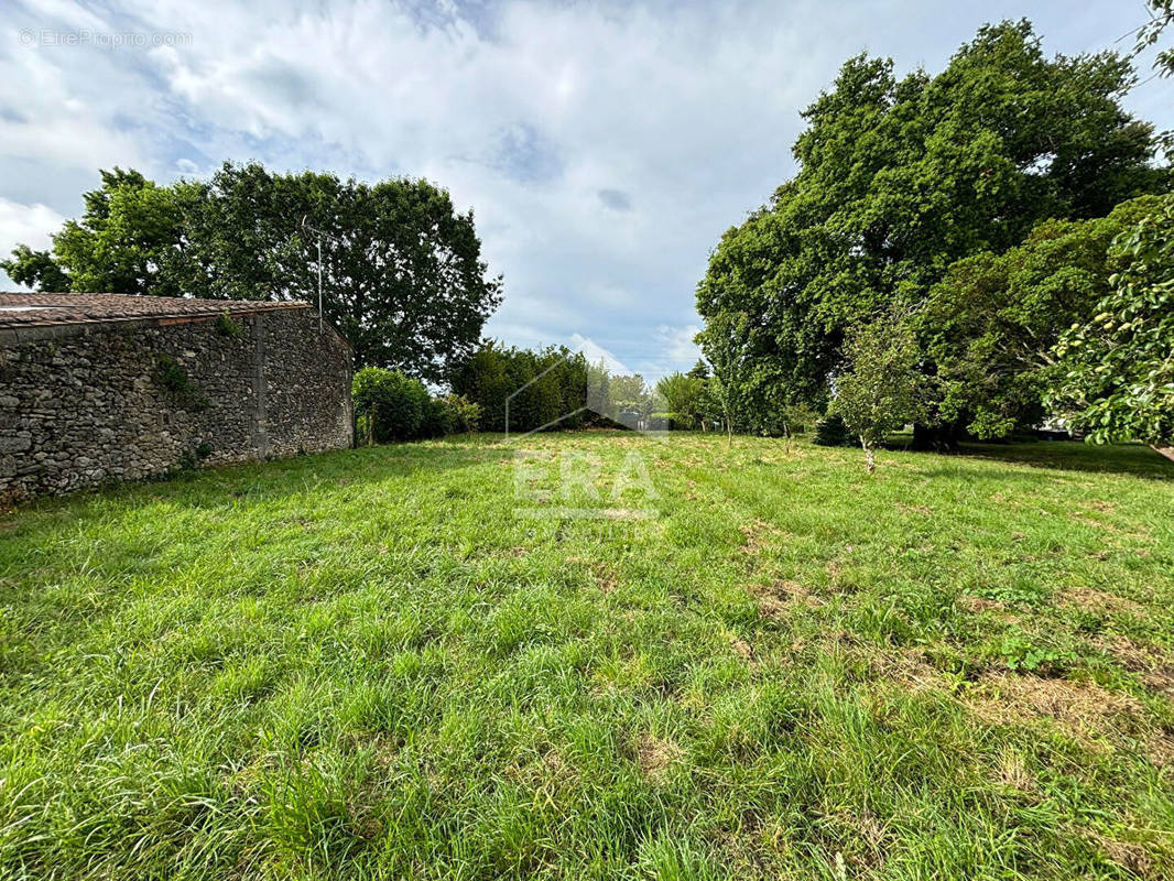 Terrain à CEZAC