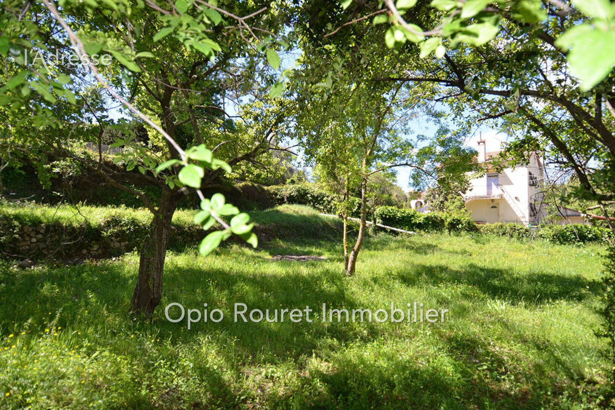 Terrain à LE ROURET