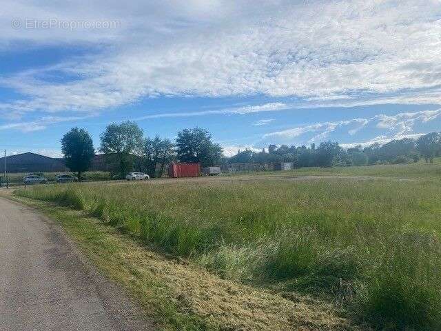 Terrain à VIRIAT