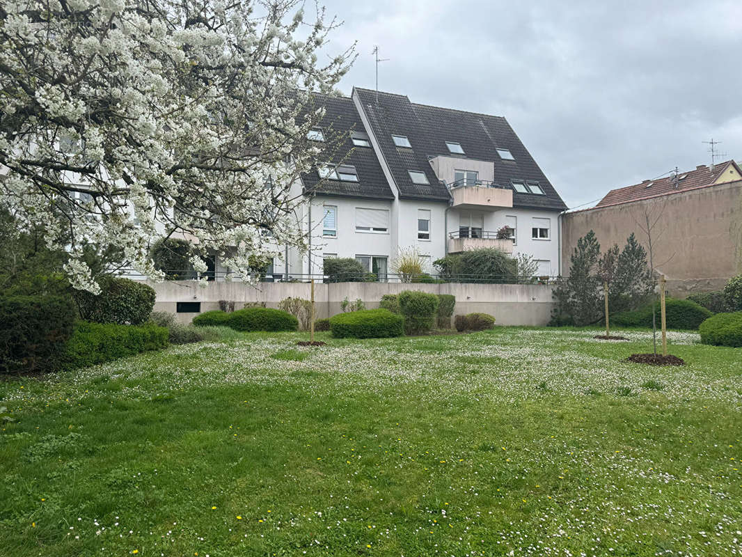 Appartement à ECKBOLSHEIM