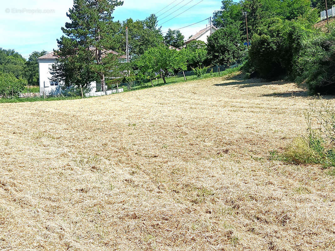 Terrain à MOISSAC