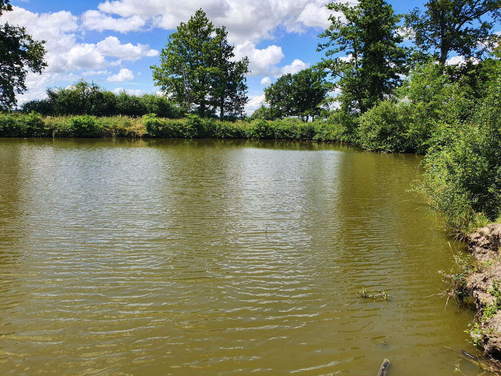 Terrain à SAINT-GERMAIN-DU-BOIS