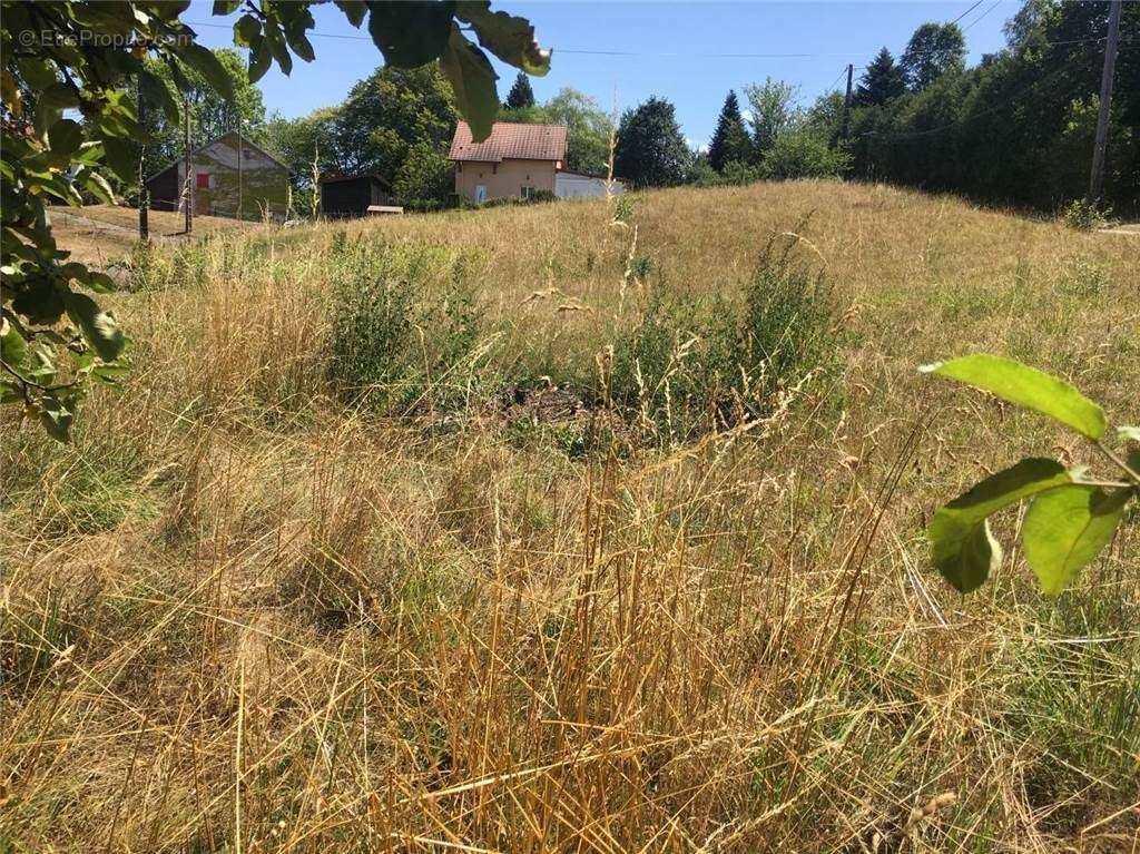 20190801_132403_IMG_6504 - Terrain à MOYENMOUTIER