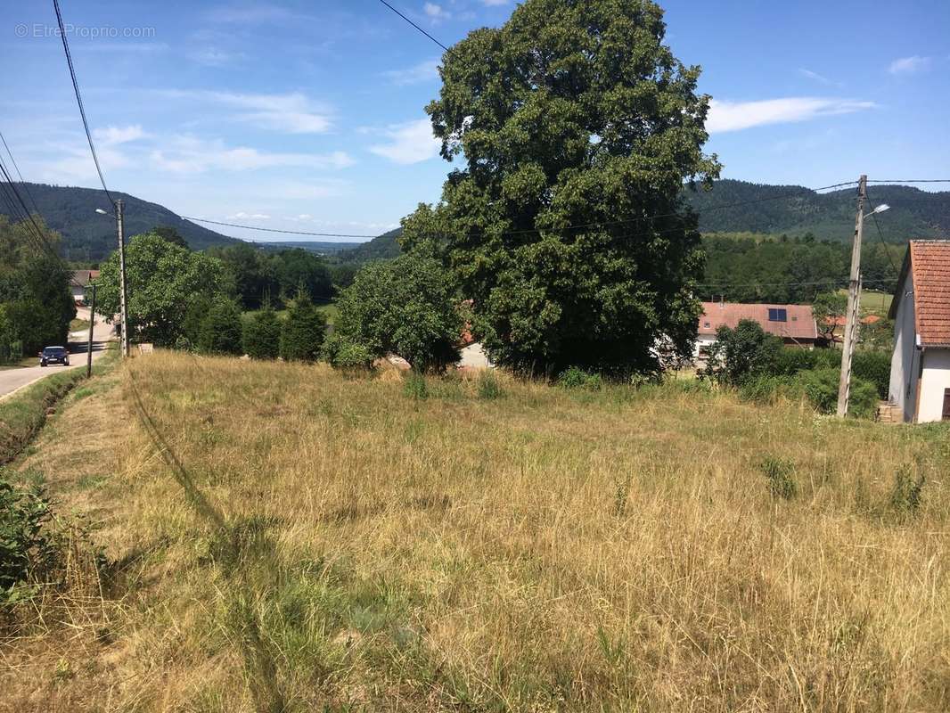 Terrain à MOYENMOUTIER