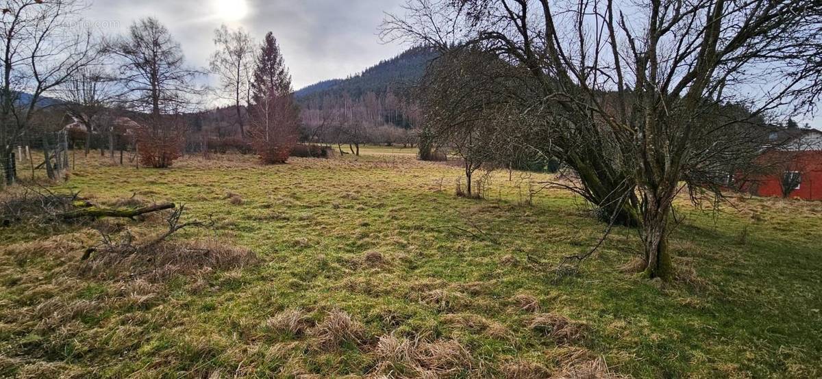 Terrain à RAON-SUR-PLAINE