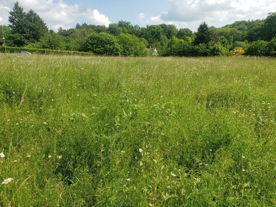 Terrain à LE CHATENET-EN-DOGNON