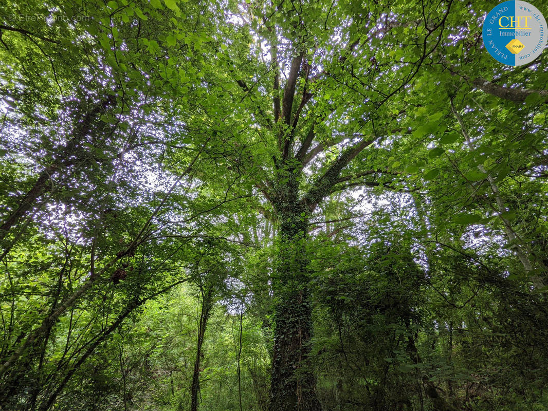 Terrain à LOUTEHEL