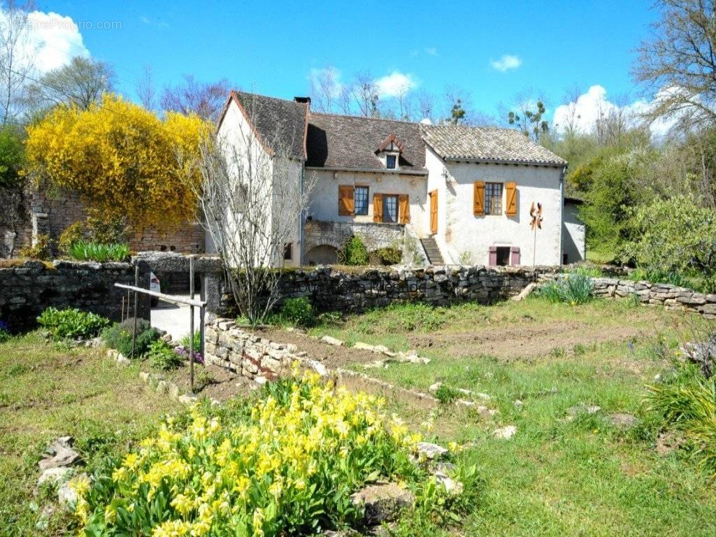 Maison à TOURNUS