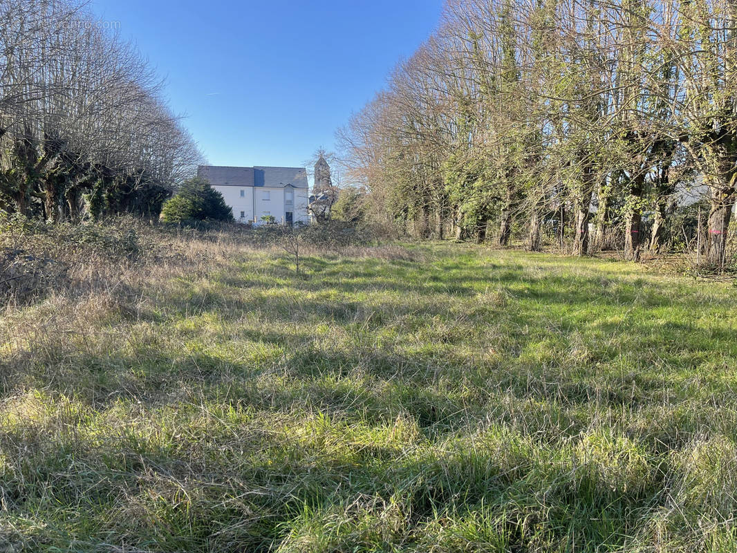 Terrain à MAROLLES-EN-HUREPOIX