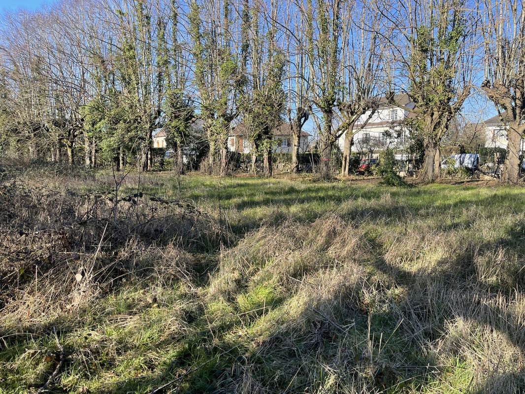 Terrain à MAROLLES-EN-HUREPOIX