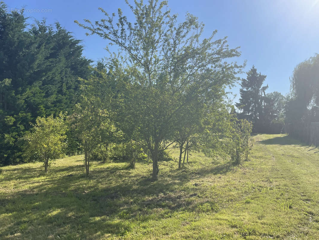 Terrain à LE LUDE