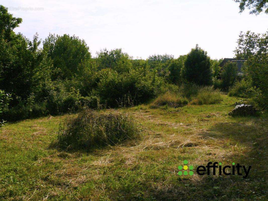 Terrain à MONTREUIL