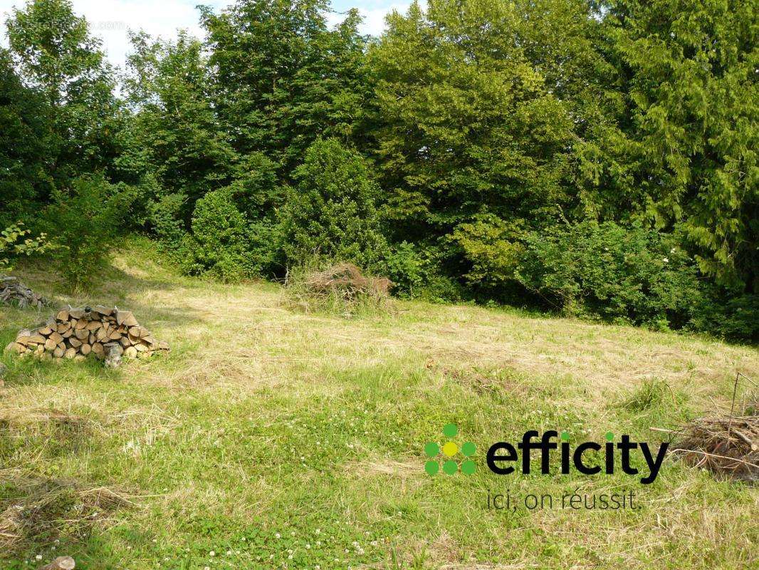 Terrain à MONTREUIL