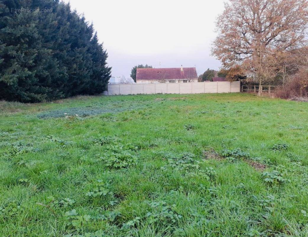 Terrain à COURVILLE-SUR-EURE