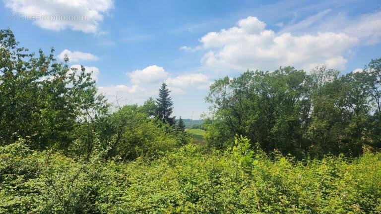 Terrain à AMBERIEU-EN-BUGEY