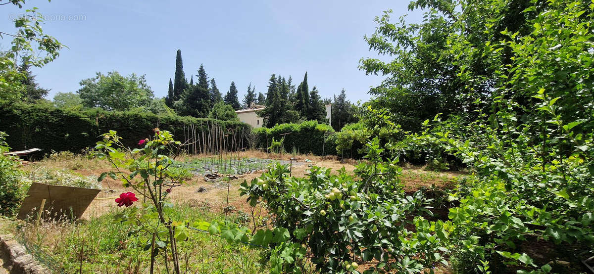 Maison à MOUGINS