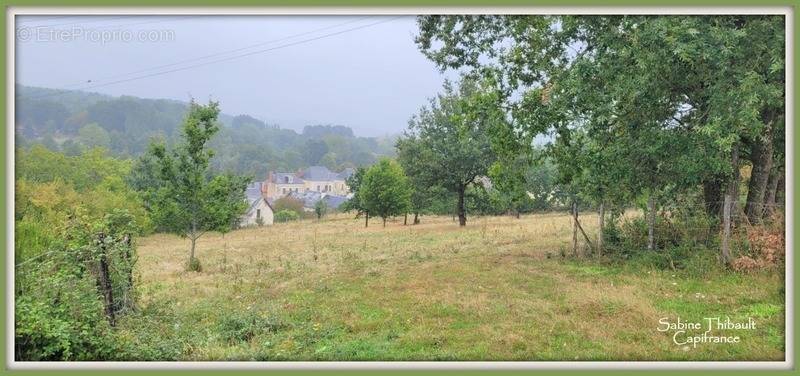 Terrain à SAINT-GERMAIN-D&#039;ARCE