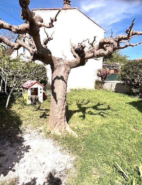 Maison à LIMOUX