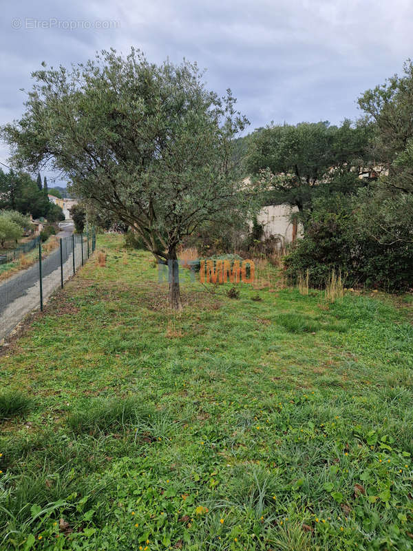 Maison à CLERMONT-L&#039;HERAULT