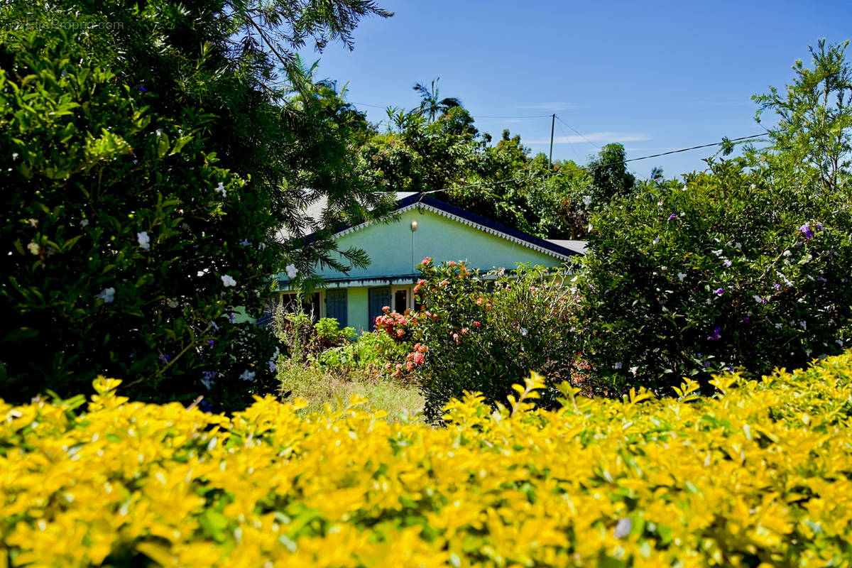 Maison à PETITE-ILE