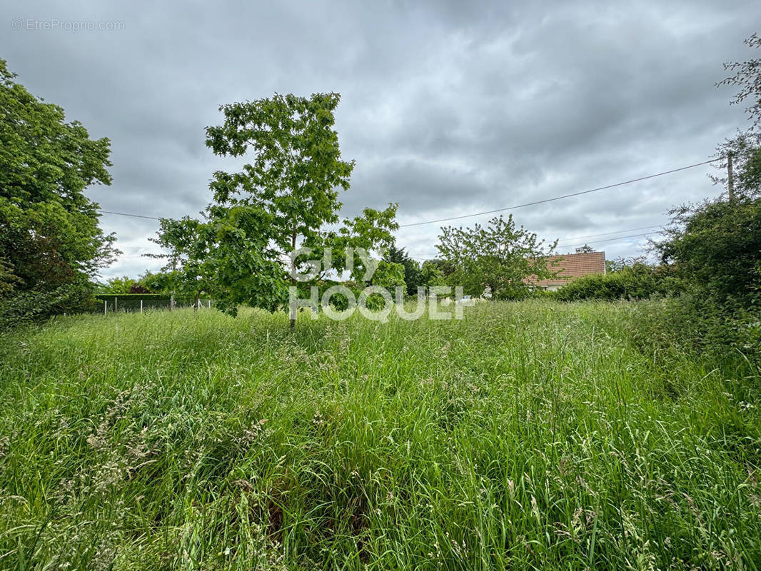 Terrain à BRETEUIL