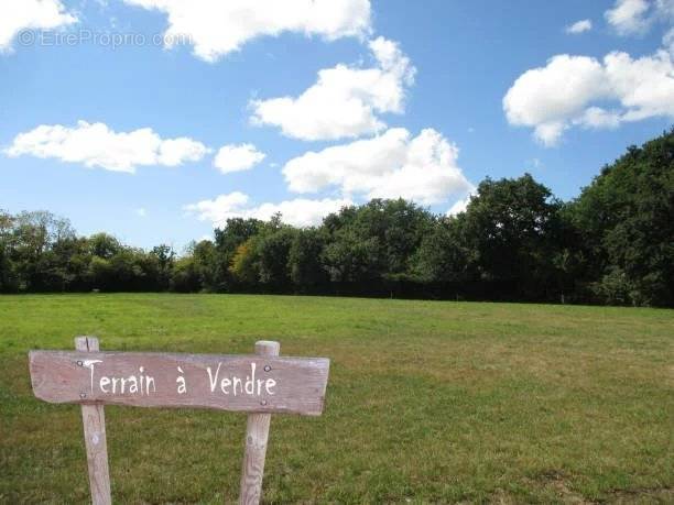 Terrain à LE PERREUX-SUR-MARNE