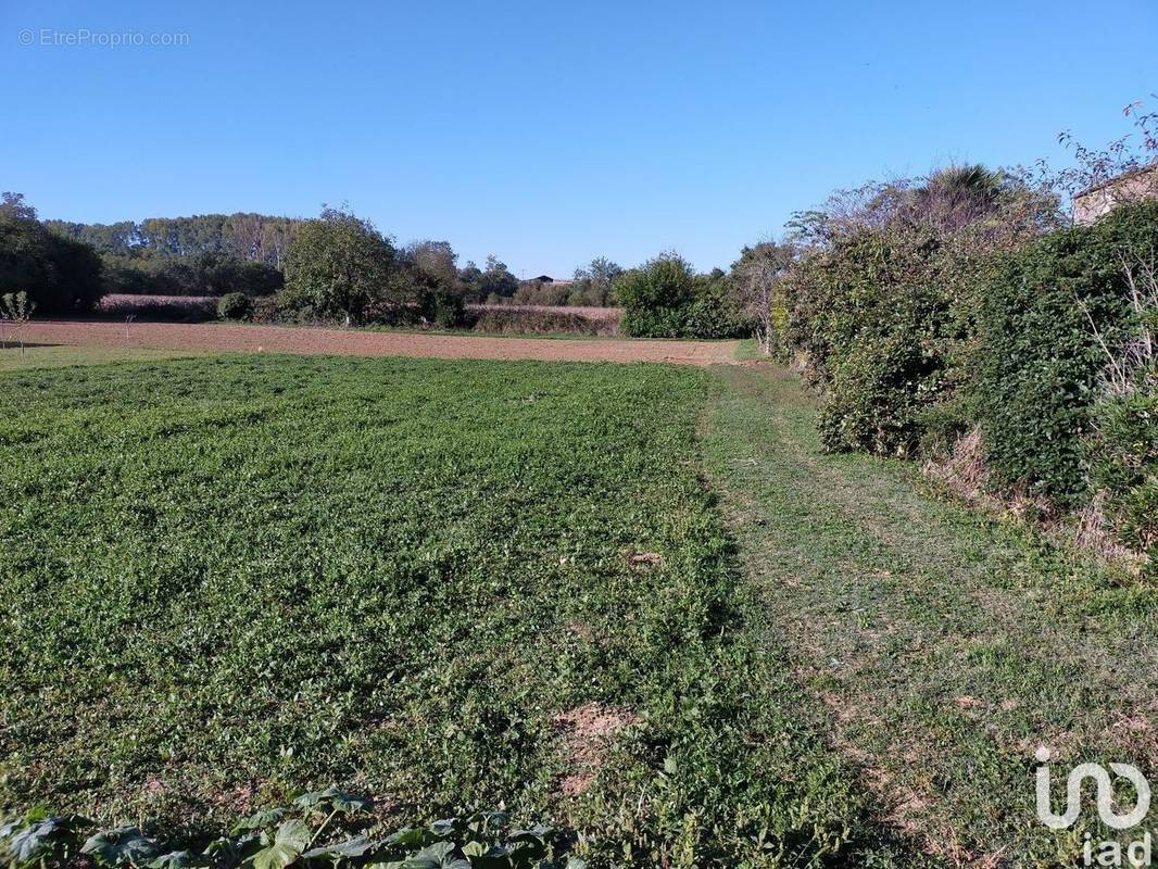 Photo 1 - Terrain à NIEUL-SUR-L&#039;AUTISE