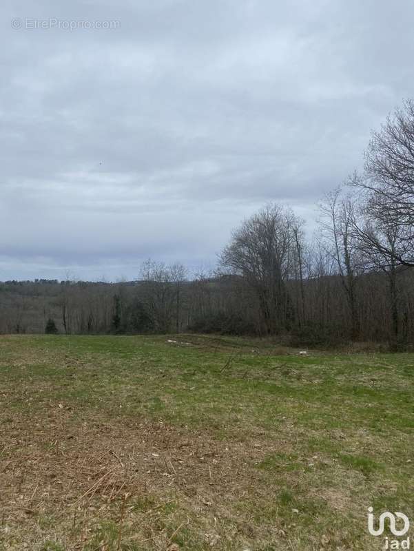 Photo 2 - Terrain à SARLAT-LA-CANEDA