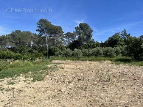 Terrain à MOUGINS