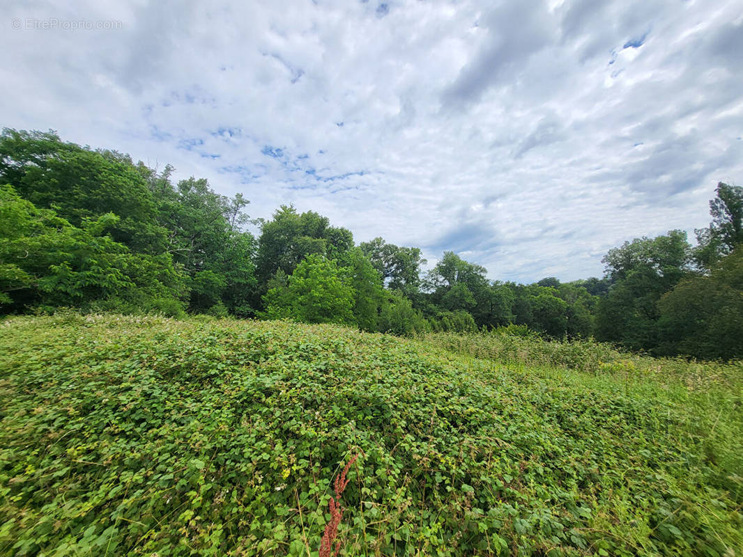 Terrain à MOMUY