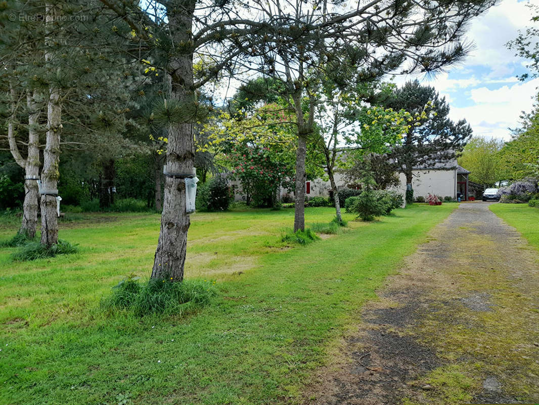 Maison à CHATEAU-GONTIER