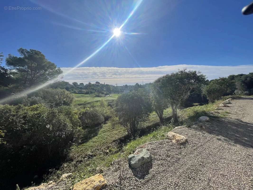 Terrain à MOUGINS