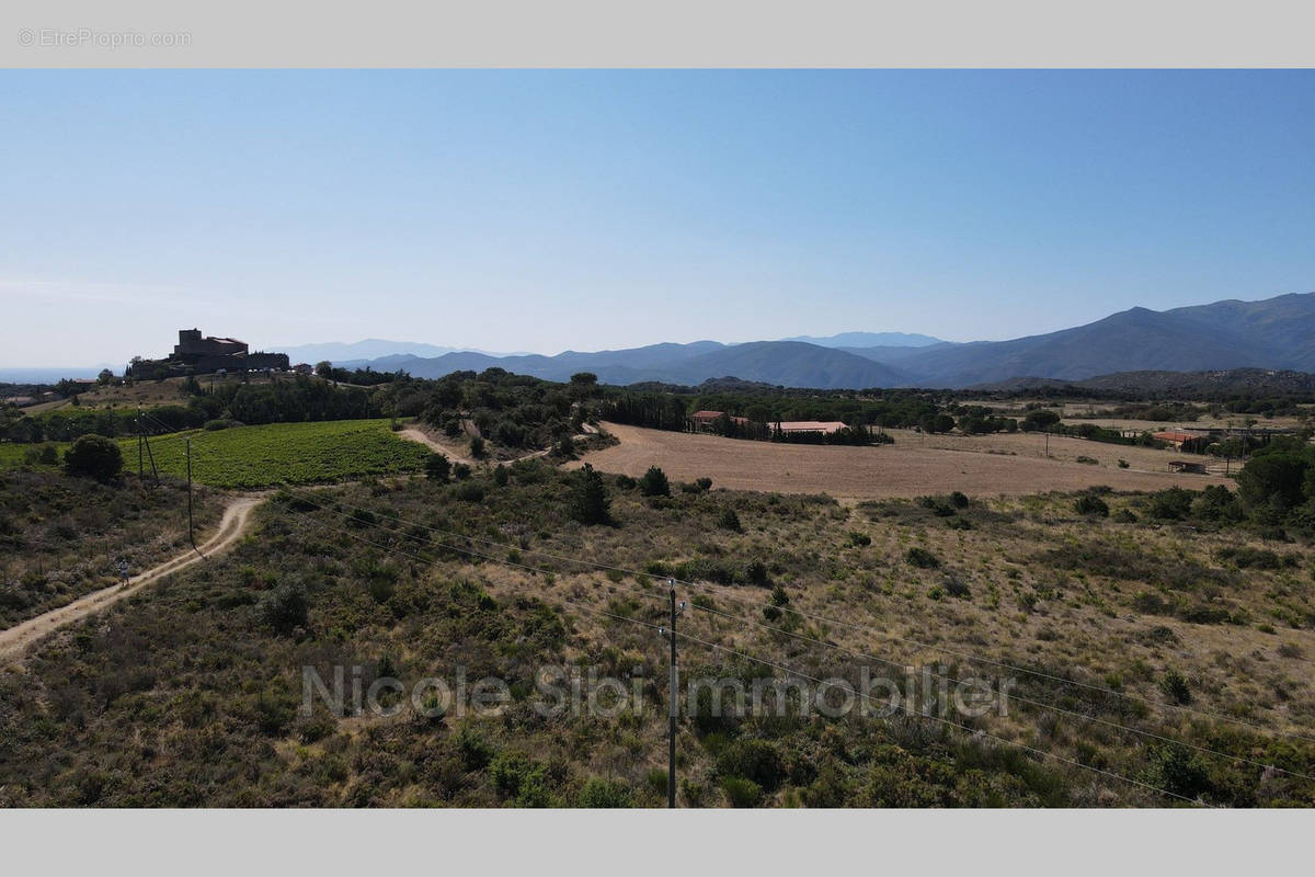 Terrain à MONTALBA-LE-CHATEAU