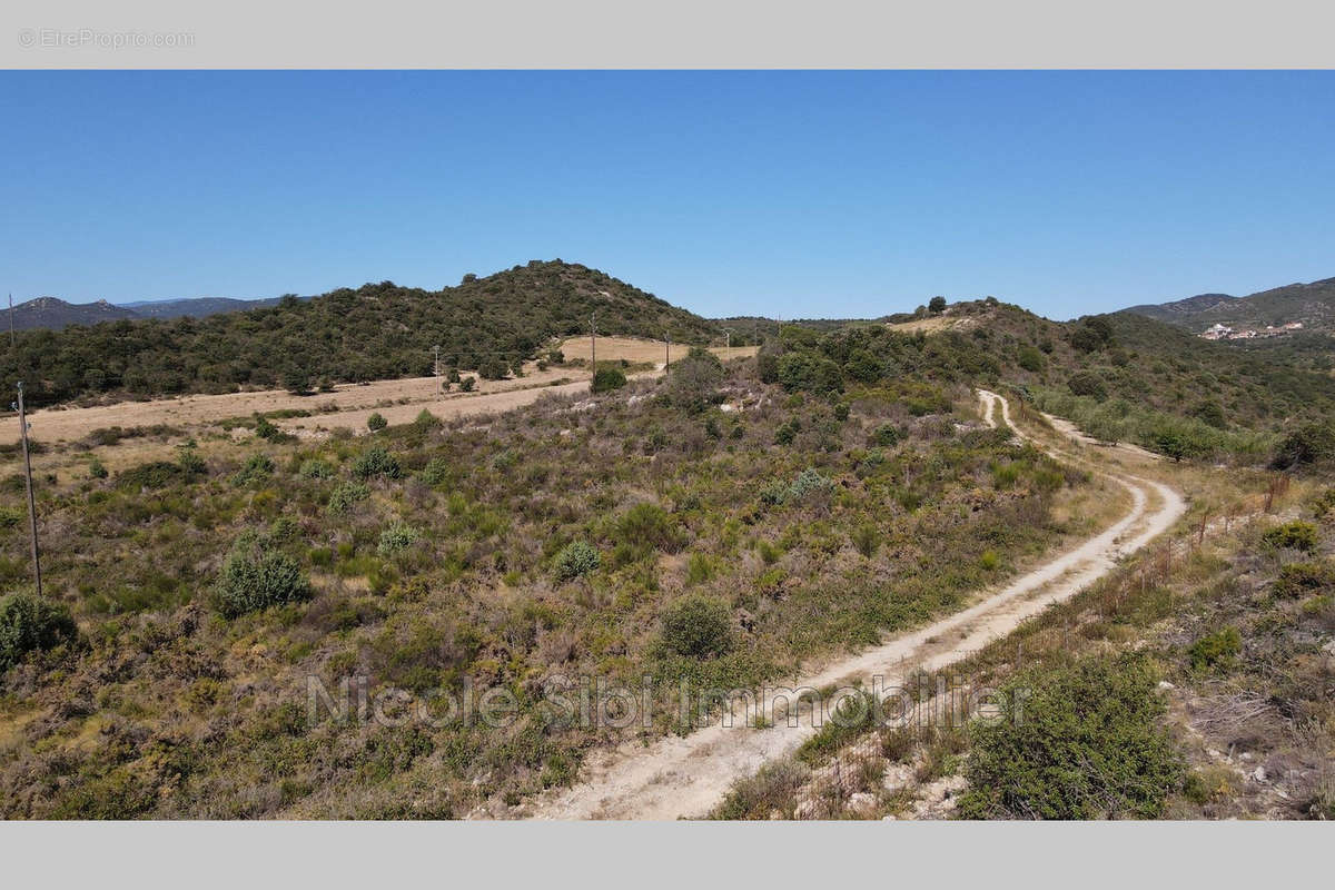 Terrain à MONTALBA-LE-CHATEAU