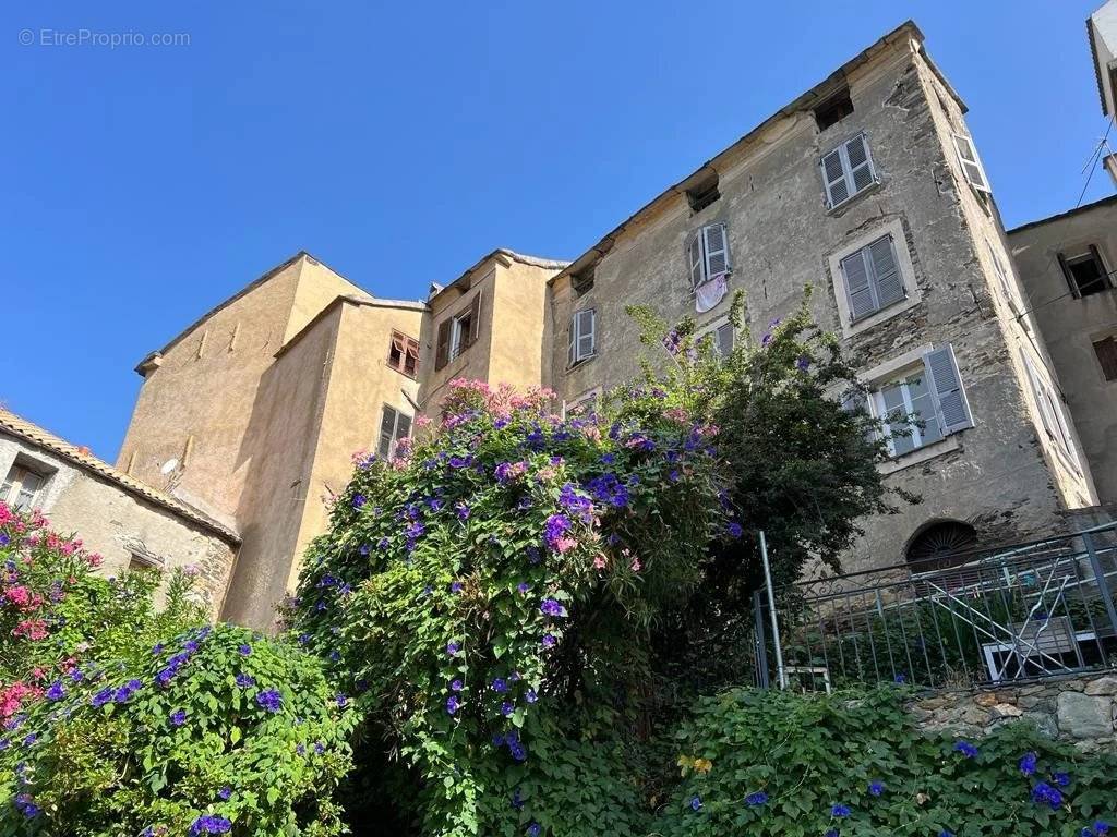 Appartement à CASTELLARE-DI-CASINCA