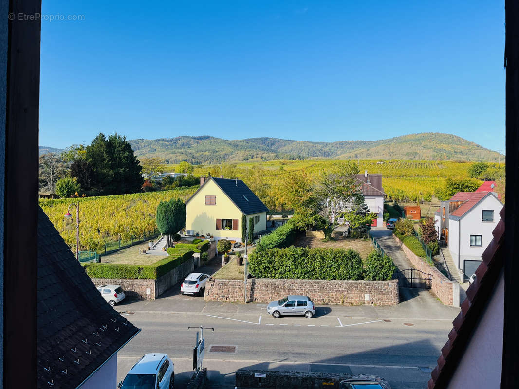 Appartement à RIBEAUVILLE