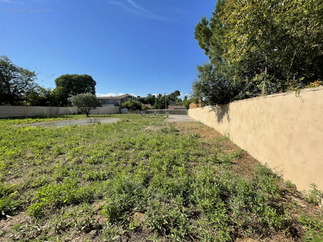 Terrain à MONTPELLIER