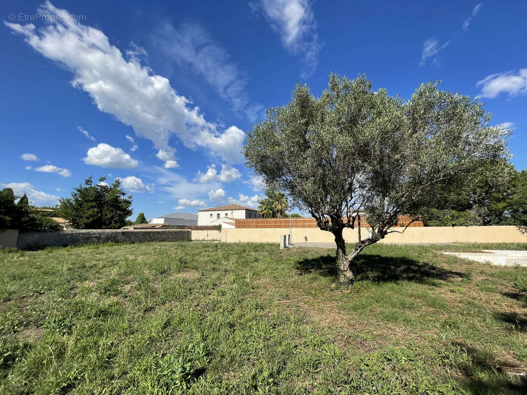 Terrain à MONTPELLIER